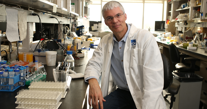 À la tête d'une équipe ayant réalisé une découverte majeure pour le traitement des cancers du sang, le Dr Guy Sauvageau a été élu personnalité de l'année 2014 de La Presse dans la catégorie Science. - © IRIC
