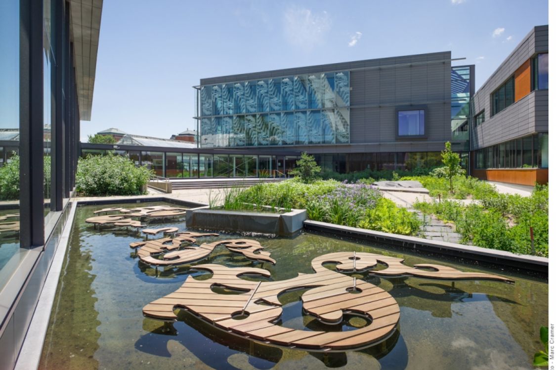 Le Centre sur la biodiversité de l'Université de Montréal possède ;a certification LEED Canada Or délivrée par le Conseil du bâtiment durable du Canada. - © UdeM